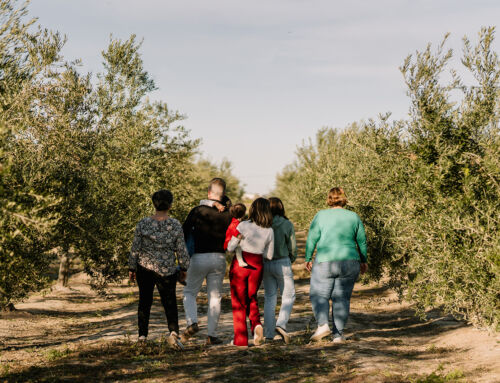Las últimas tendencias en aceite de oliva virgen extra para regalar en Valencia