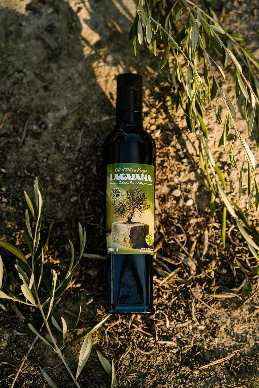 La Gaiana Producto, Producto, Olilagaiana - Tienda de aceite de oliva virgen extra