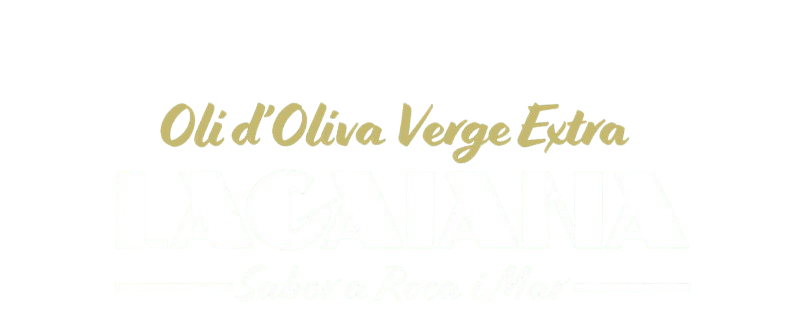 062ba0bd C5a5 471d 8d81 D5ff4802af05.jpg Logo Removebg Preview 062ba0bd C5a5 471d 8d81 D5ff4802af05.jpg Logo Removebg Preview